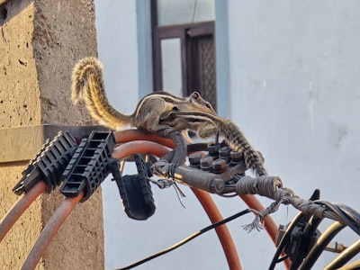 Implementing AI Agents with AWS, Kubernetes, and FastAPI in Python