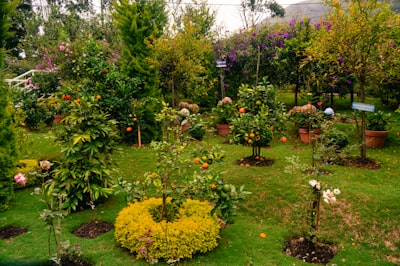 ¿Sistema de gestión de empresas de jardinería en varios idiomas?
