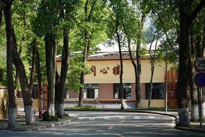 Consultoría tecnológica en Sagunto
