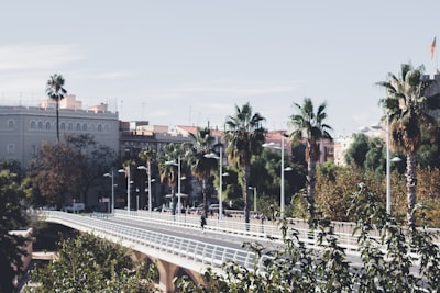 Las mejores empresas para reportar el progreso de proyectos en Valencia