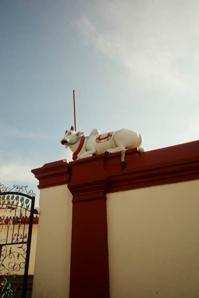 Robots de Instagram en Santa Coloma de Gramenet