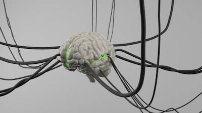 Caracterización de Redes Neuronales de Grafos en Organoides Cerebrales 3D