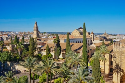Top 30 Expertos en IA para ventas en Córdoba