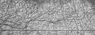 Automatización de maduración neuronal en células derivadas de iPSC