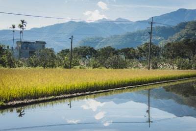 ¿Cómo n8n puede apoyar los objetivos ambientales?