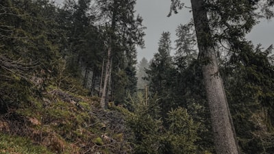 Superando limitaciones geográficas en pruebas con Node.js sin costo