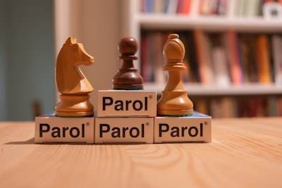 Principales Expertos en Desarrollo de Software Personalizado en Parla