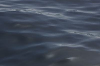 Protección de autoría mediante marcas de agua AI