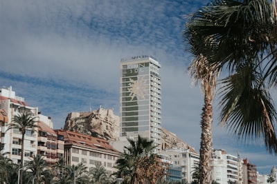 Análisis detallado de las principales empresas de software en Palma
