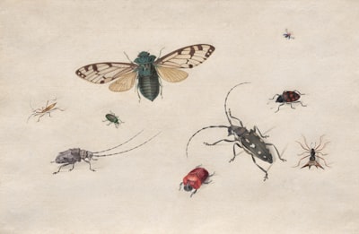 Una historia de insectos en la época victoriana