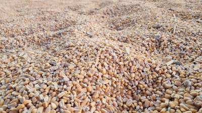 Grafos de Grano Fino mediante Mezcla Latente