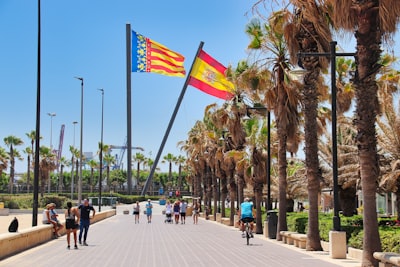 Automatización de formularios en Valencia