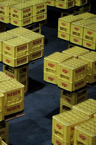Holanda Interviene en la Empresa de Semiconductores Propiedad China: Nexperia