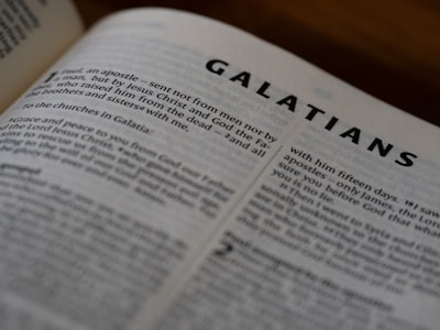 La mejor guía para encontrar software en Galdakao