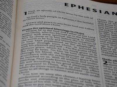 Specter of Collapse: Philethesia and Apatheia as Editorial Glyphs for AI/ML Systems