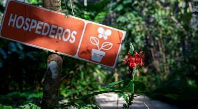 Las mejores empresas de programación en Ciempozuelos