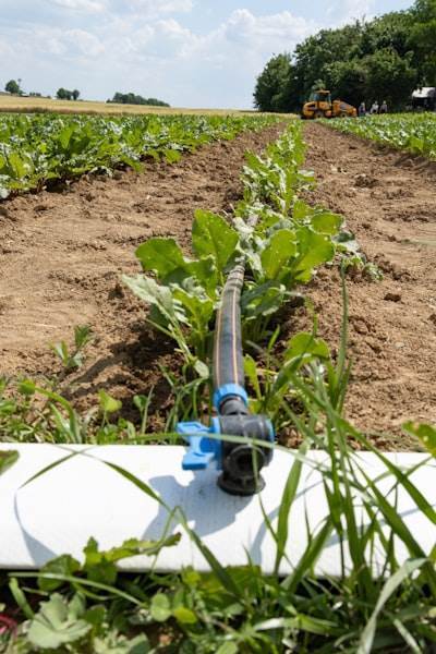 Aprendizaje de refuerzo causal para orquestación de microredes agrícolas.