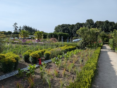 Servicios de gestión empresarial para jardinería en Zaragoza