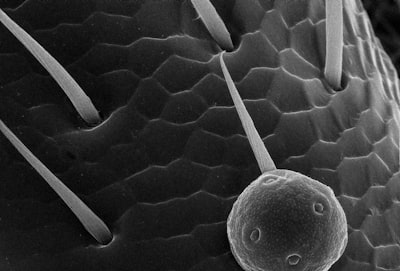 Predicción de latencia de cola en microservicios con doble flujo y modulación de gradiente