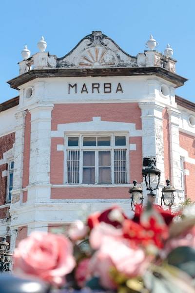 Los 15 mejores expertos en IA en Marín