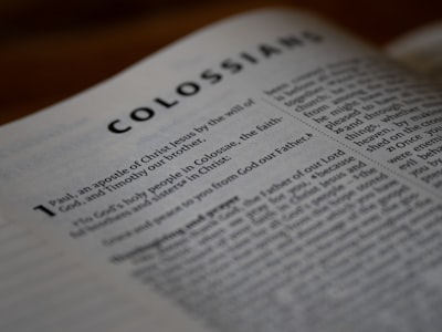 Explorando Codex CLI