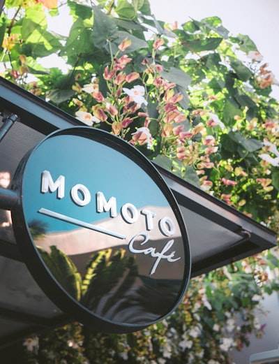 Top 100 Compañías para AGENCIA de IA en Montijo