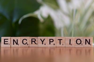 Enviando un mensaje con una transacción en crypto: Una guía paso a paso
