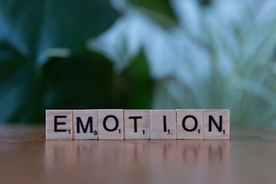 Transferencia Emocional en la Edición de Videos de Rostros Hablantes