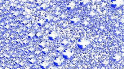 Predicción de toxicidad de nanopartículas mediante redes neuronales Bayesianas