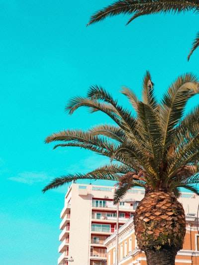 Mejores empresas de n8n en Ibiza