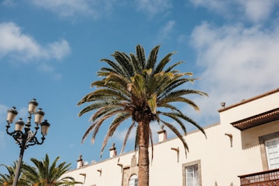 Automatización de tareas administrativas de construcción en Las Palmas de Gran Canaria