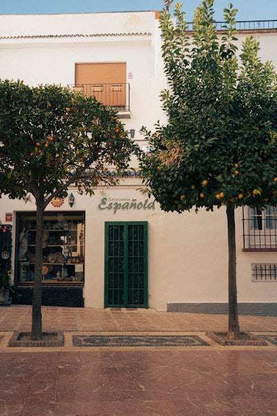 La mejor manera de encontrar servicios de programación externalizados en Zamora