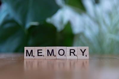 Diseño de sistema de memoria persistente y AI personalizada con decaimiento y autoevaluación