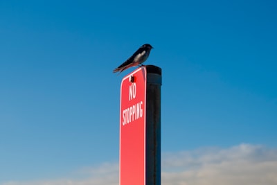 Empresa especializada en aplicaciones en A Coruña.