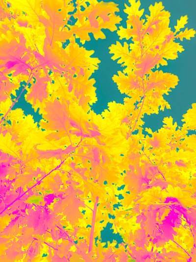 Predicción de disparidades de justicia ambiental mediante modelado geoespacial.