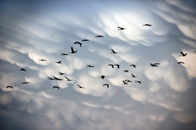 Top 10 Expertos en migración a Azure en Alicante