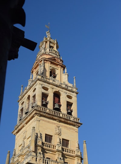 Automatización de reportes de clientes en Córdoba