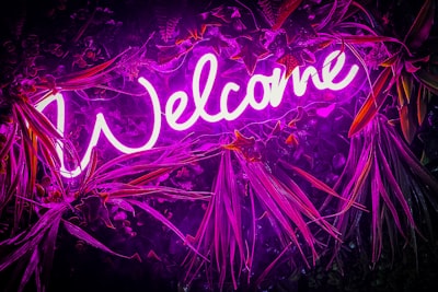 Welcome to My Blog!