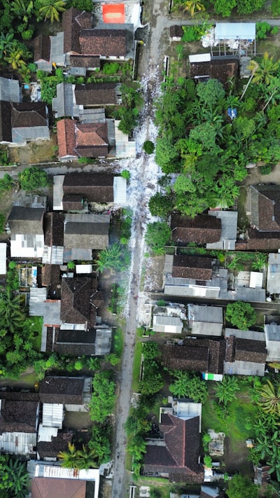 Estimador de Impacto de Desastres: de Satélite a Calle