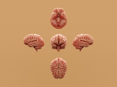 VeriTrace: Modelos Mentales Evolutivos para la Investigación Profunda