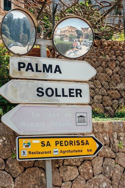 Socio oficial de bots de redes sociales en Palma
