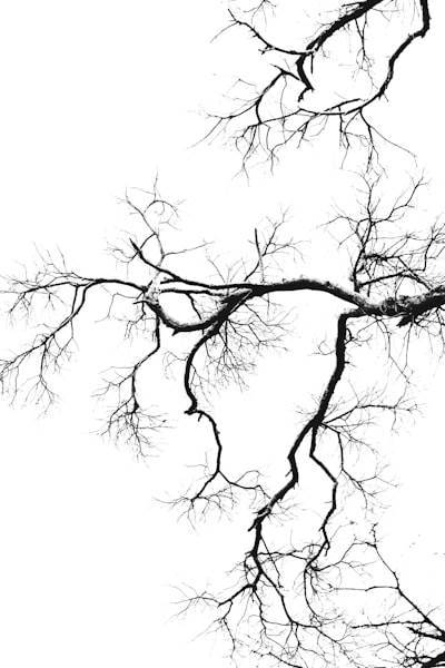 Almacenando el contexto LLM como EloquentChatHistory en Neuron AI