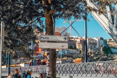 Encuentra inteligencia artificial en Sant Feliu de Llobregat