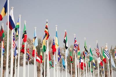 Global Digital Identification Framework Approved: The United Nations' 'Pact for the Future'