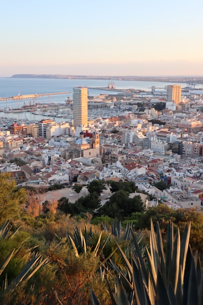 Expertos en software personalizado para operaciones en Alicante