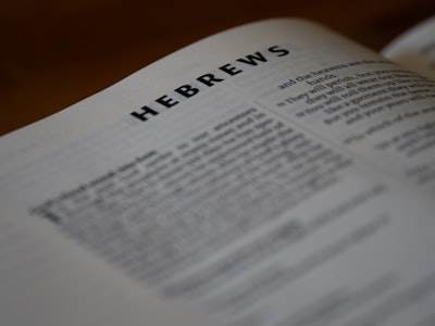 La palabra del año de Merriam-Webster: veredicto sobre el contenido basura de IA