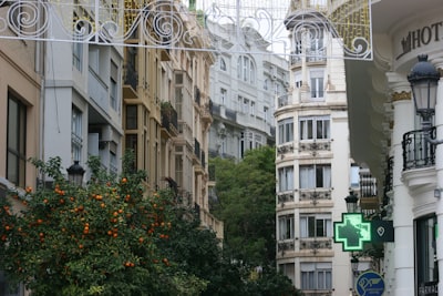 Las mejores empresas de bots de redes sociales en Valencia