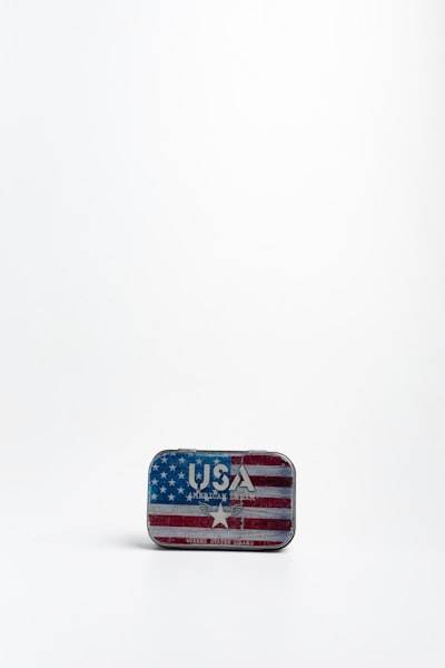 What is an LLC in the United States?