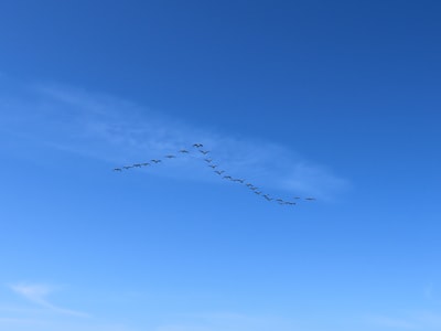 ¿Cómo pueden los servicios de migración a la nube de Azure para empresas reducir desperdicios u optimizar recursos?