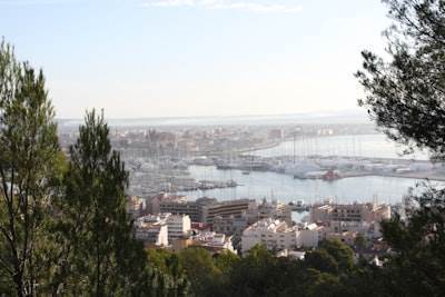 Top 5 Expertos en programación en Sant Feliu de Llobregat